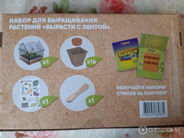 Набор для выращивания растений Лента Вырасти с лентой настольная теплица фото