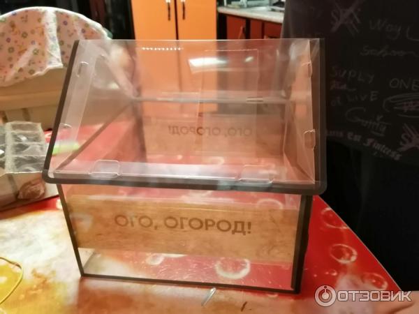 Набор для выращивания растений Лента Вырасти с лентой настольная теплица фото