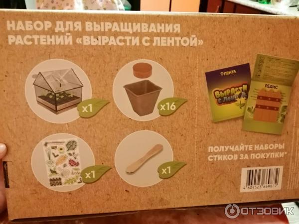 Набор для выращивания растений Лента Вырасти с лентой настольная теплица фото