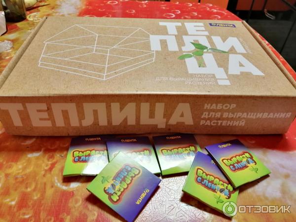 Набор для выращивания растений Лента Вырасти с лентой настольная теплица фото