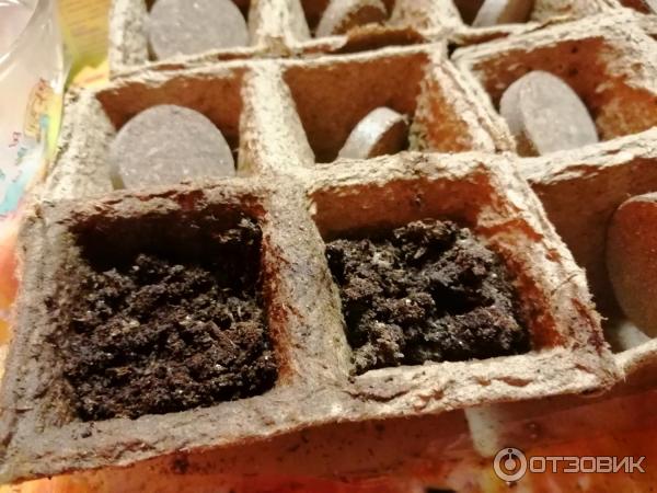 Набор для выращивания растений Лента Вырасти с лентой настольная теплица фото
