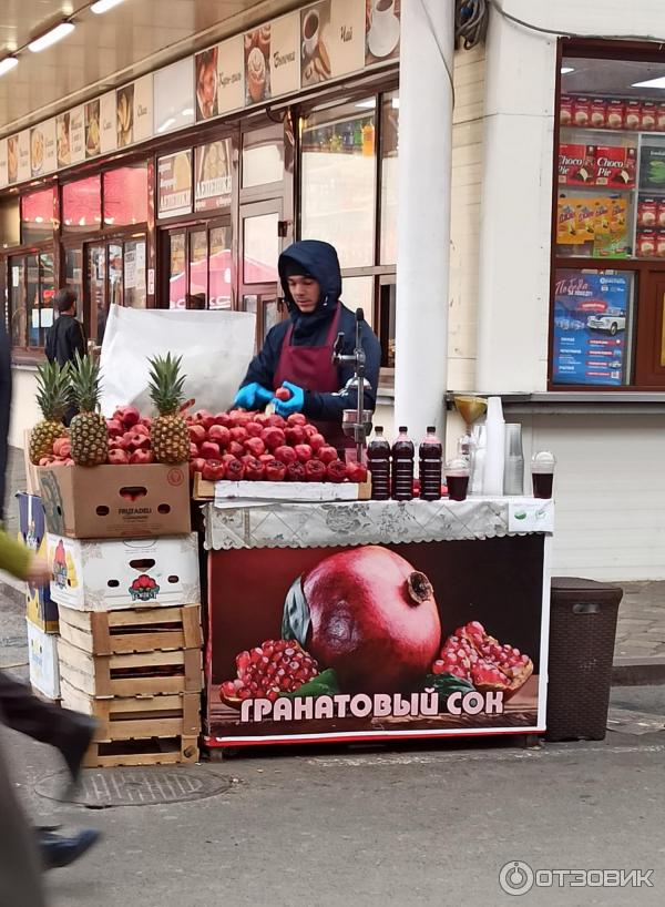 Типа садовода. Садоводы россии. рынок в баку типа садовода. ярмарка садовода фон. рынки в ереване по типу садовода.