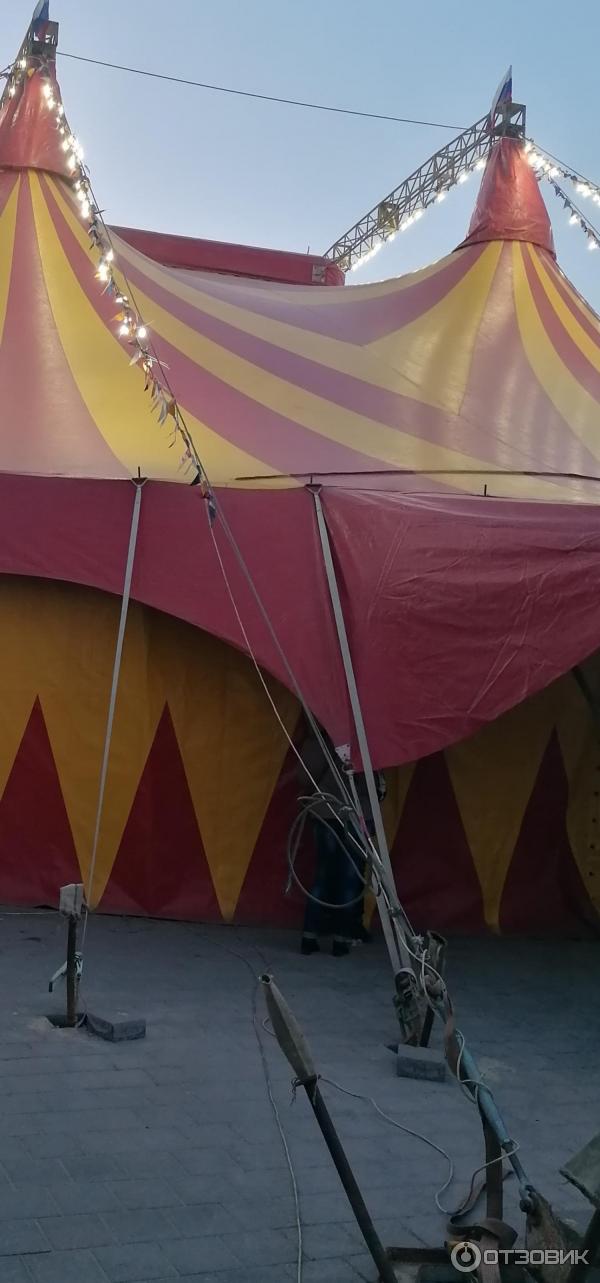 цирк шапито новониколаевск. цирк шапито в буграх. цирк шапито краснодар отзывы. шапито арена макао. цирк шапито краснодар отзывы.