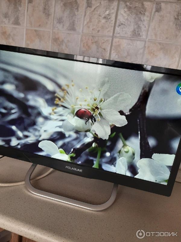 Телевизор Polarline 20PL12TC фото