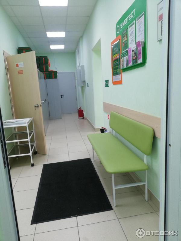 Работа Гемотест В Новогодние Праздники