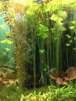 Что отличает аквапарк "Москвариум" от других?