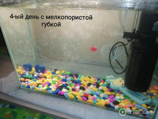 Очистка воды в 4-ый день с заменой губки