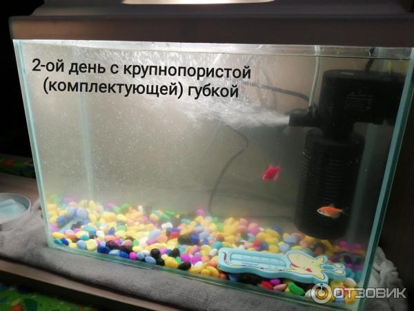 Очистка воды во 2-ой день с губкой из комплекта