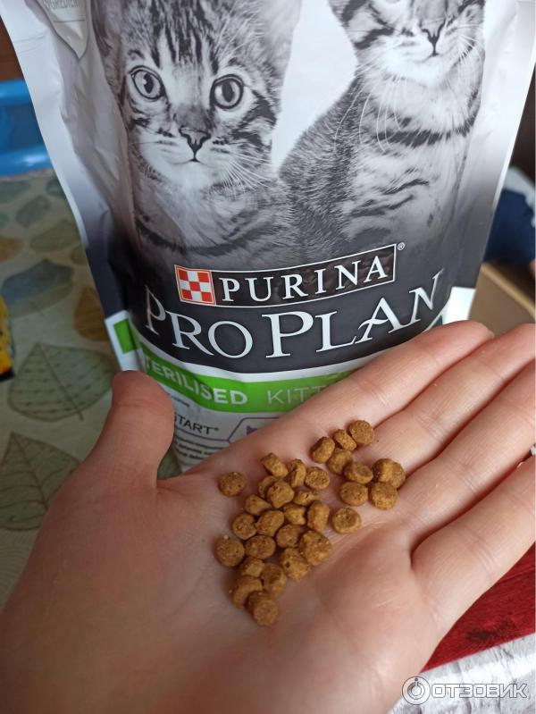 Проплан для стерилизованных кошек норма кормления. Сухой корм для стерилизованных котов премиум класса. Kitten sterilised, сухой корм для стерилизованных котят с лососем, pro plan, 3000 g. Корм пурина проплан состав. Корм для кастрированных кошек.