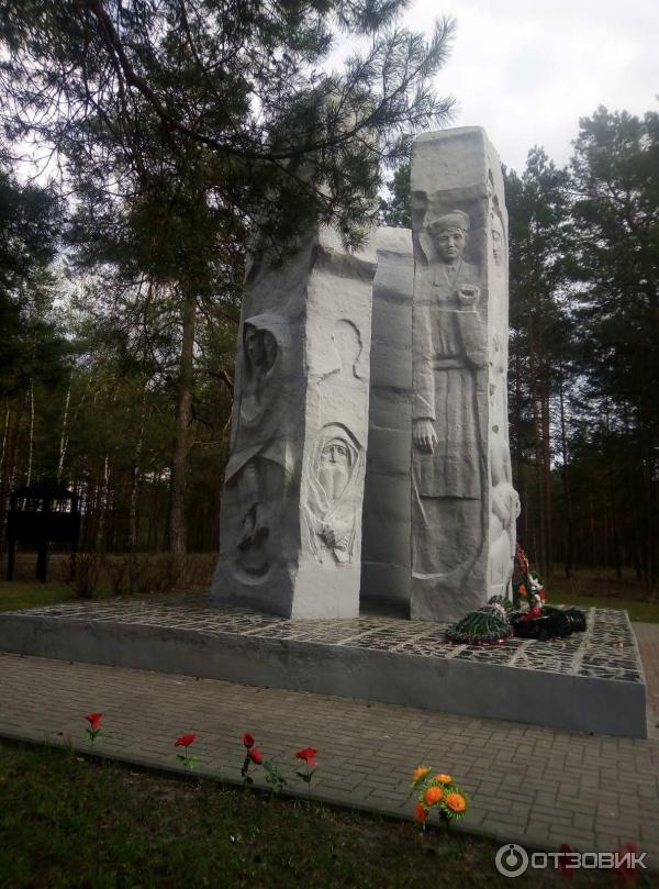 прогноз погоды в озаричах калинковичского