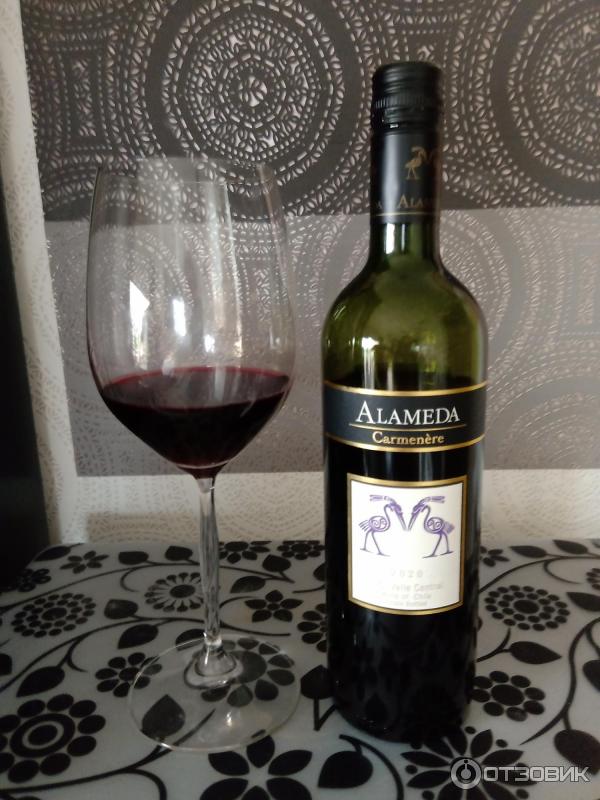 Отзыв о Вино Alameda Carmenere красное полусухое | Как я люблю за ...