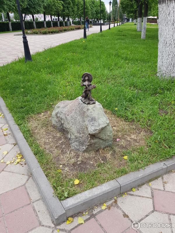 Podomní houba. Obecná forma