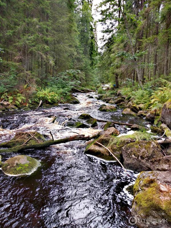 экопарк долина водопадов карелия лахденпохский район.