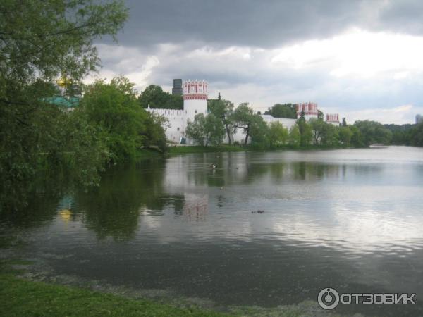 Новодевичий Парк Фото