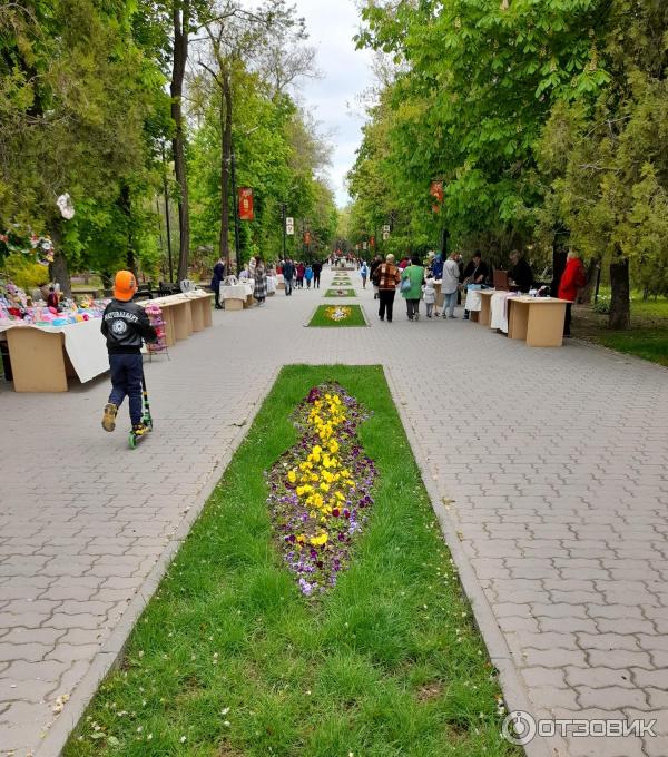 Парк культуры таганрог. Парк им Горького Таганрог. Сквер Таганрог. Парк Горького Таганрог 2007. Таганрог парк Горького дерево любви.
