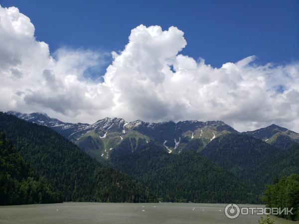 Отдых в г. Новая Гагра (Абхазия) фото