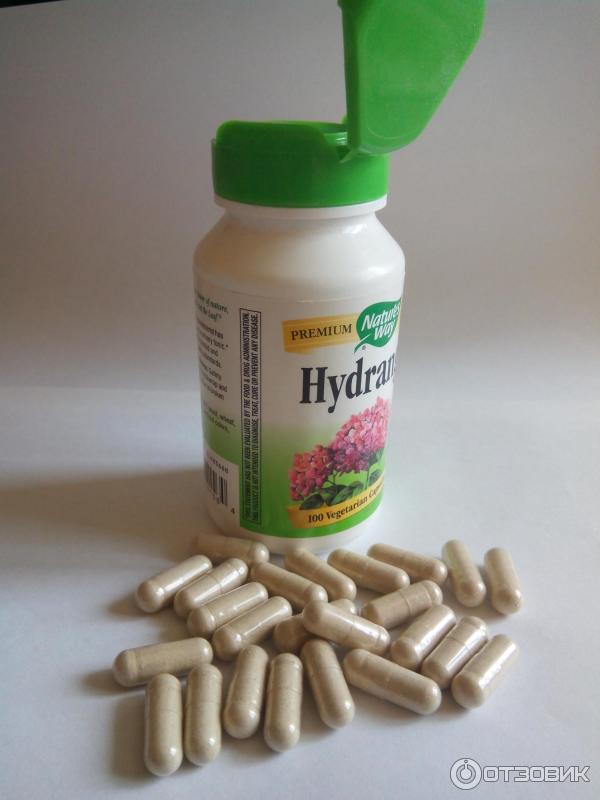 лекарство для выведения камней из почек. лекарство от песка в почках. препараты для выведения песка из почек. мазь для почка. цистон для почек.