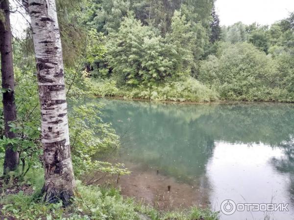 Дендропарк (Россия, Киров) фото
