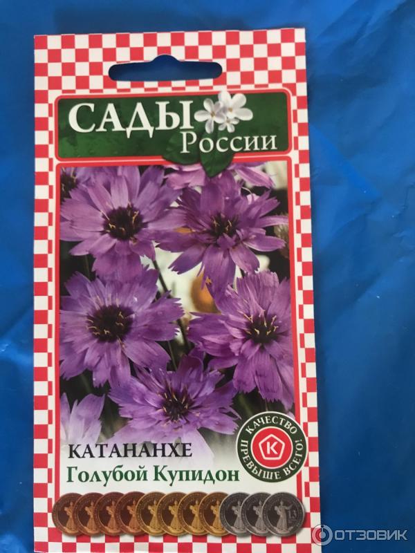 Отзыв о Семена Сады России "Катананхе Голубой купидон"