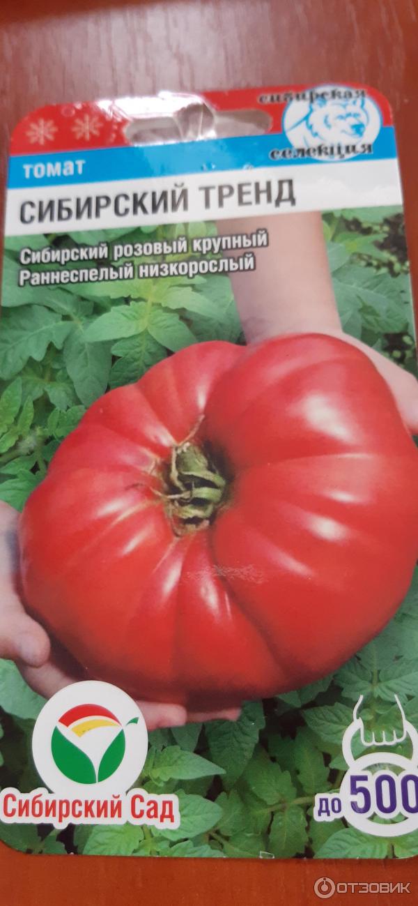 Вкусовые качества помидора Сибирский тренд