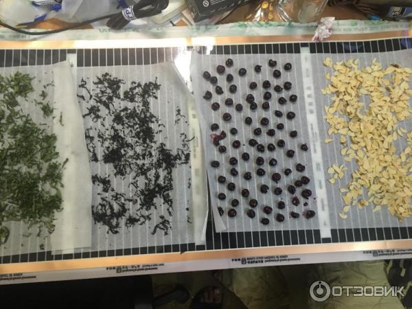 Отзыв о Сушилка для фруктов и овощей Сушигруши.рф | Полезное и ...