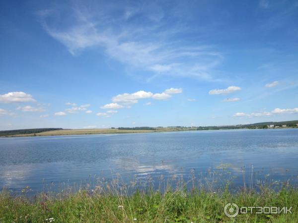 Кемеровские водохранилища. Беловское водохранилище Аквамарин. Беловское водохранилище фото 2022. Медведь на Беловском водохранилище. Беловское водохранилище отдых дикарями 2022