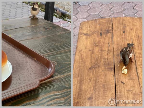 Трапезная Кирилло-Афанасиевского мужского монастыря (Россия, Ярославль) фото