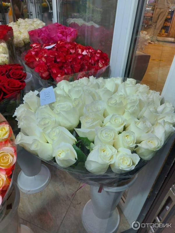 Фловерс Магазин Цветов — Интернет Магазин по низким ценам