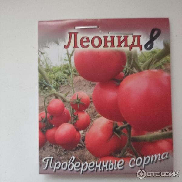 Отзыв о Семена томатов Коллекция Валерия Медведева Леонид | Для  консервирования отличные