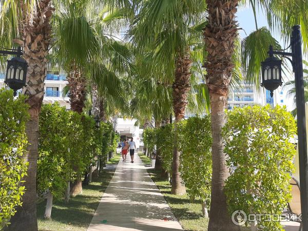 Адрес и как добраться до аквапарка Край Москва