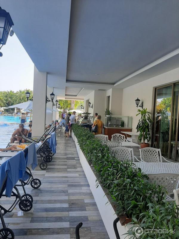 Адрес и как добраться до аквапарка Край Москва