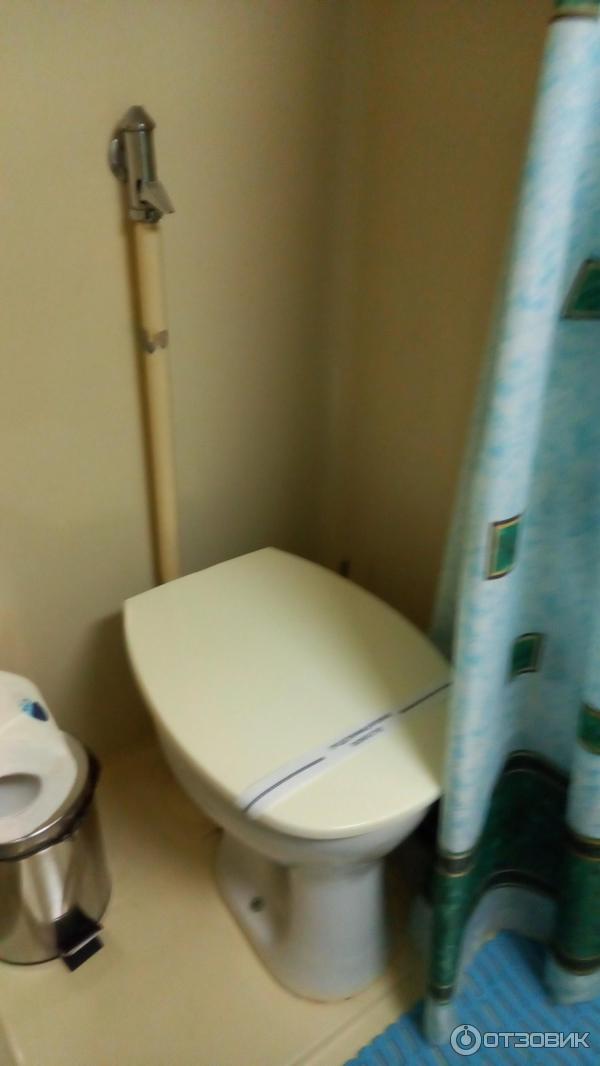 Отзыв о Теплоход "Лебединое озеро" | Красавец теплоход плывет по Волге