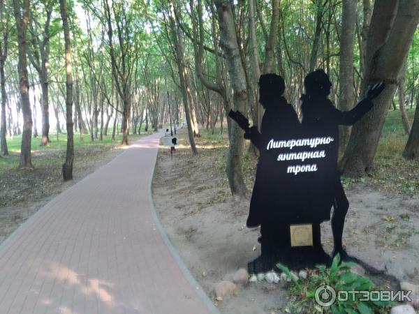 Отзыв о Парк имени Мориса Беккера (Россия, п. Янтарный) | Парк для любителей ботаники и не только