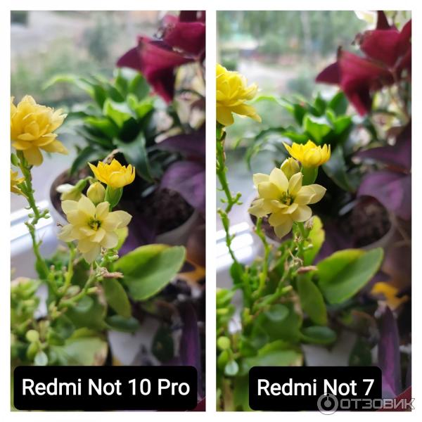 Redmi not 10 pro камера фото