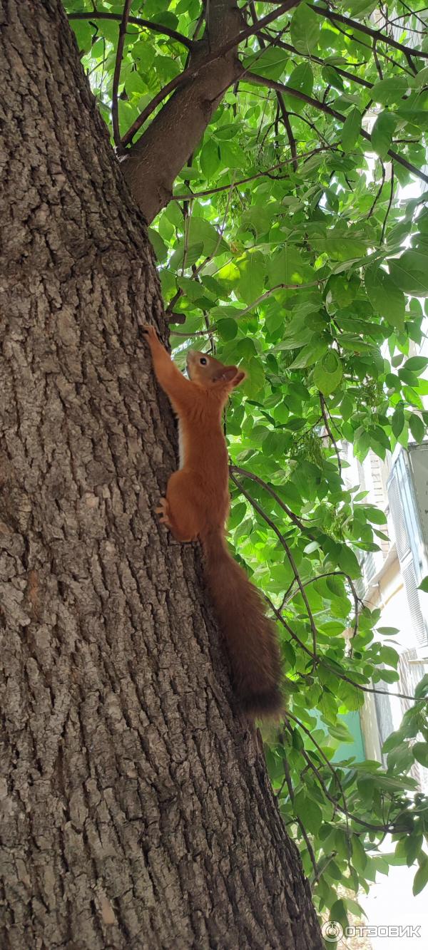 Redmi not 10 pro камера фото
