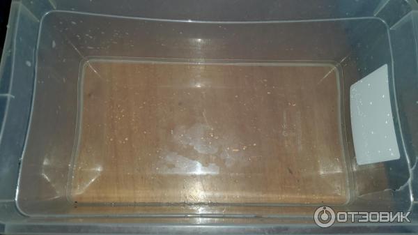 Отзыв о Контейнер для продуктов Бытпласт Phibo | Просто и удобно ...