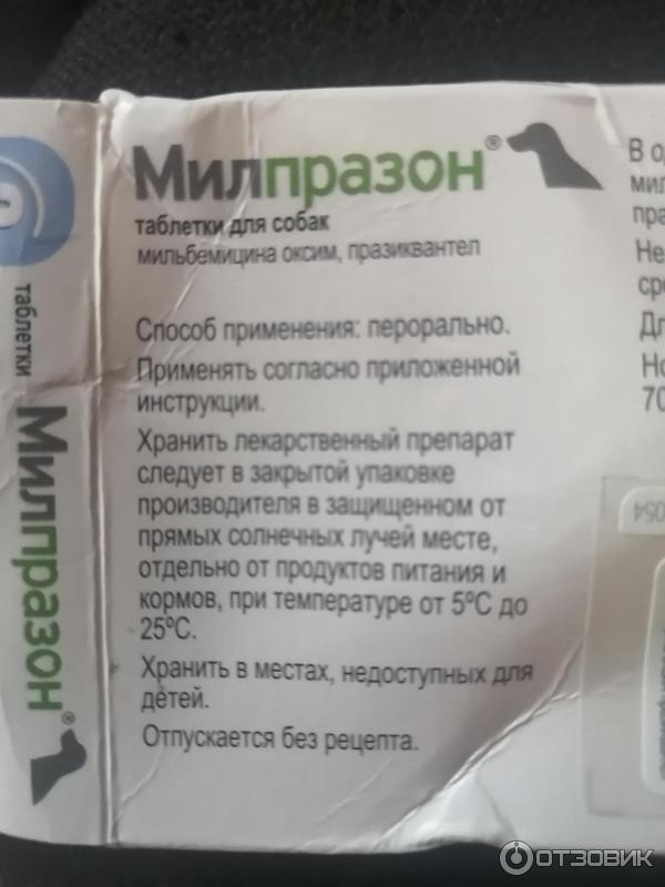 Отзыв о Антигельминтный препарат Милпразон KRKA для щенков и собак ...
