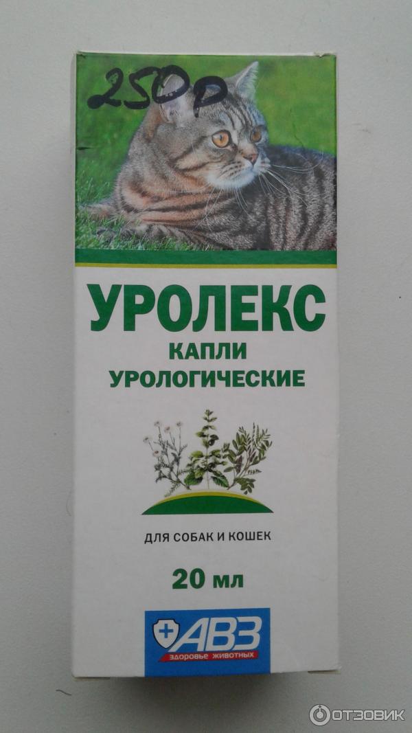 Отзыв о Урологические капли для кошек и собак Агроветзащита Уролекс |  Современная и действенная замена КотЭрвину