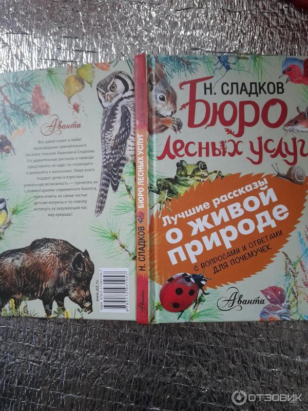 Бюро лесных услуг читательский дневник. Бюро лесных услуг. Бюро лесных услуг главные герои.