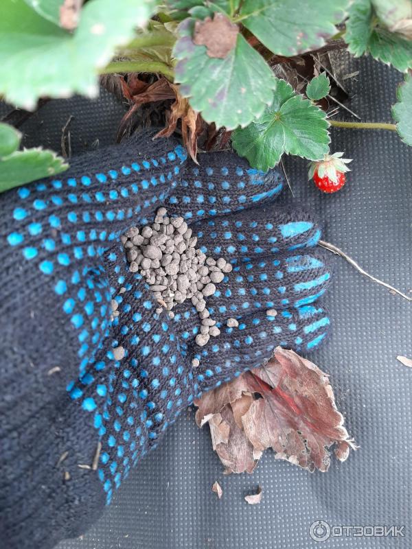 Органоминеральное удобрение Нов-Агро ОМУ ягодное