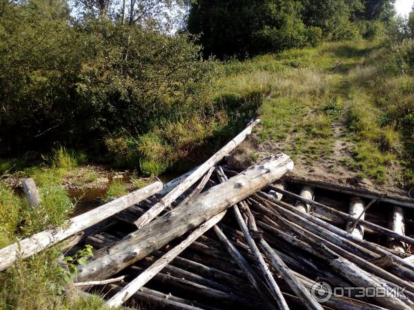 Тактические ботинки Рысь фото