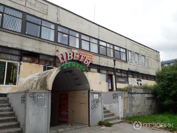 Отзыв о Единый Центр Документов (Россия, Санкт-Петербург)
