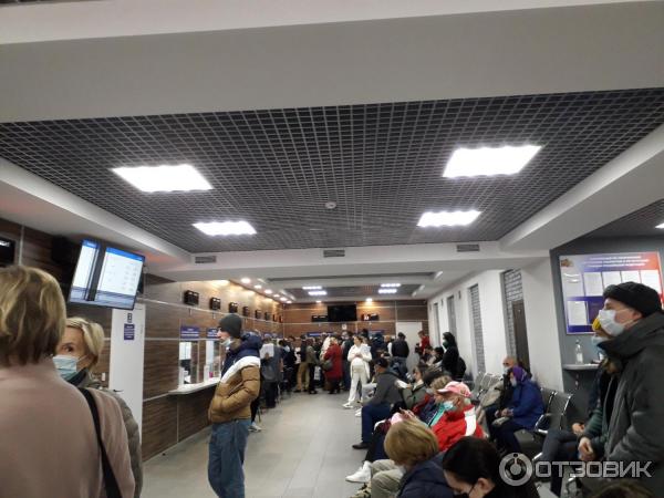 Отзыв о Единый Центр Документов (Россия, Санкт-Петербург)