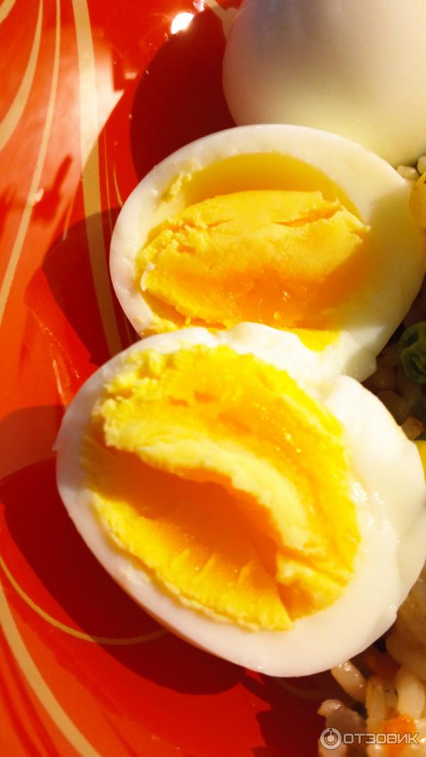 Отзыв о Яйца куриные Ашан СВ | Вымойте курицам яйца, противно брать в руки