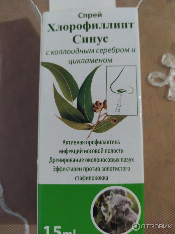 Можно ли хлорофиллиптом промывать нос. Хлорофиллипт синус спрей. Хлорофиллипт назальный. Хлорофиллипт спрей для носа. Хлорофиллипт спрей для носа от стафилококка.