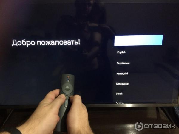 Жидкокристаллический телевизор Xiaomi L43M5 фото