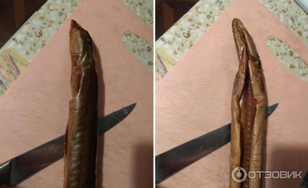 Балтийский угорь