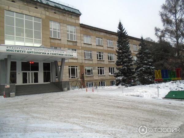 академгородок новосибирск иванова 17. институты со ран в новосибирске. новосибирский институт органической химии. институт органической химии им. новосибирский институт ядерной физики.