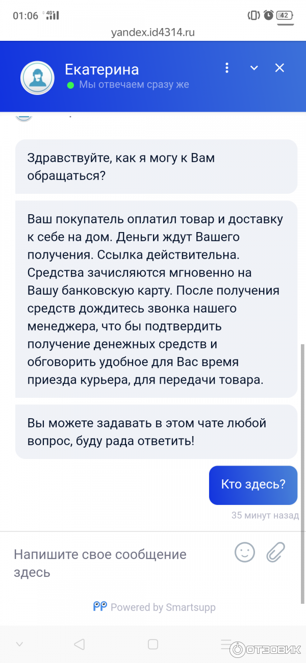 Служба доставки Яндекс. Доставка (Россия, Москва) фото