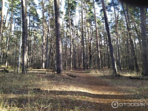 Экологическая Тропа Паустовского фото